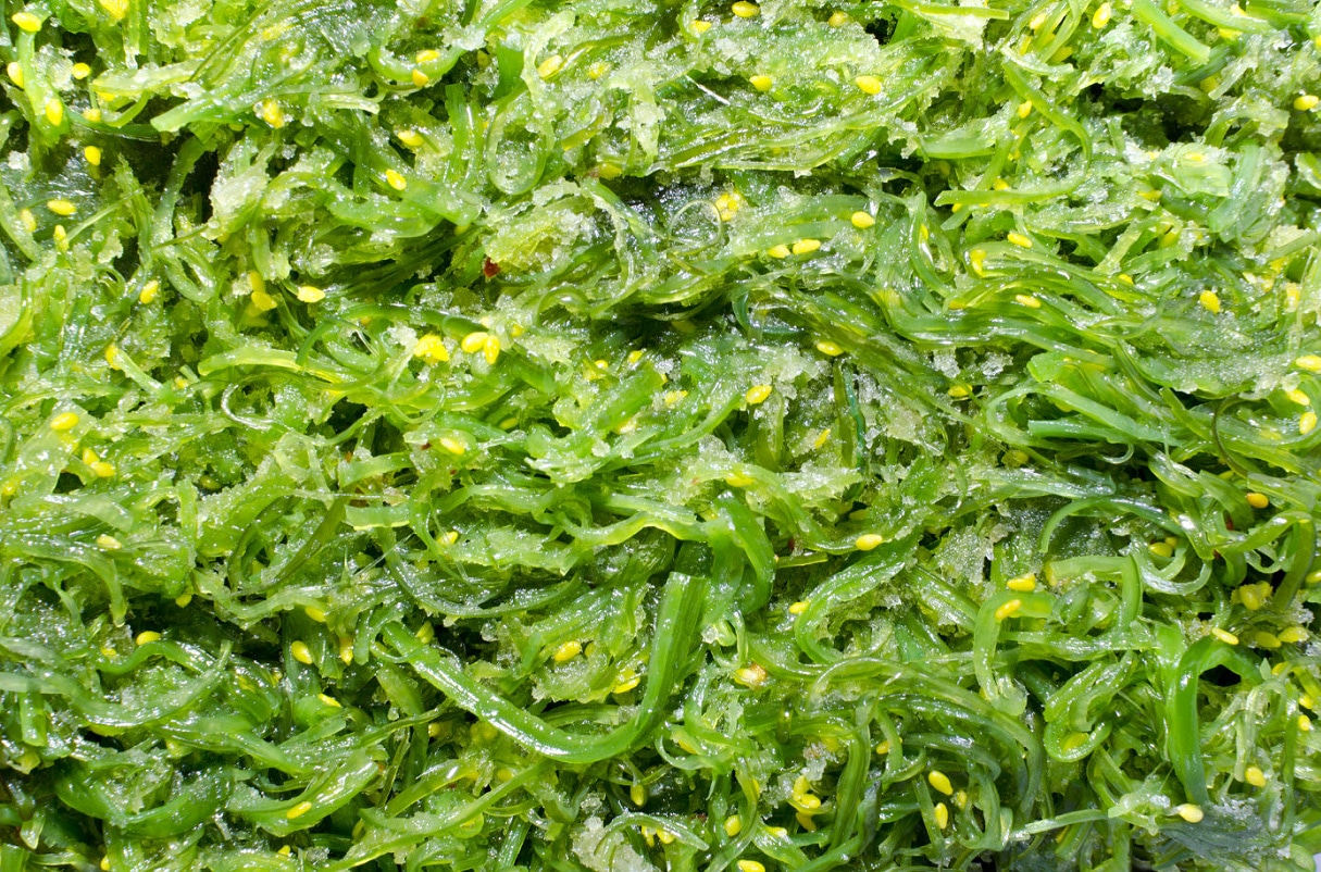 Algues sechées Verte V20